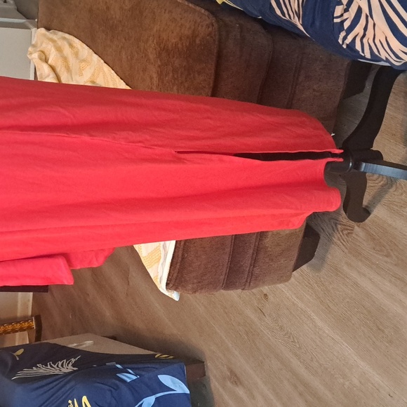 NWT SKIRT/TUBE DRESS - Picture 3 of 12